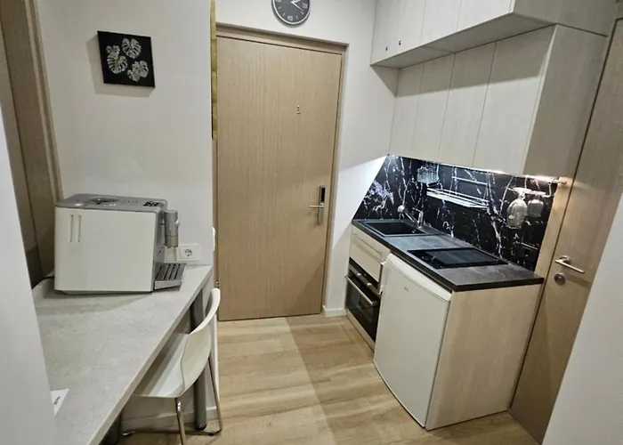 Kauno Apartamentai Su Balkonu * Kaunas